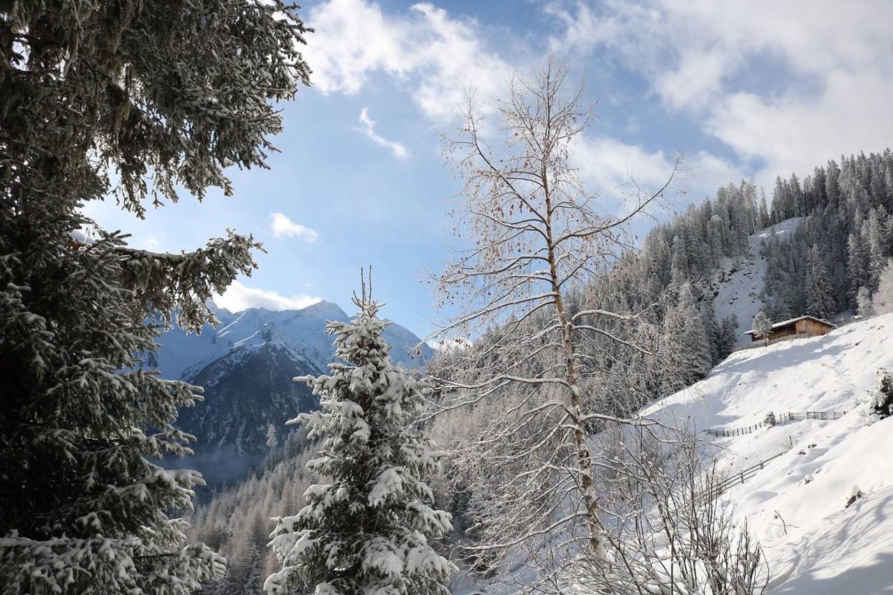 Haus Marco Apartment Neustift im Stubaital Exterior photo